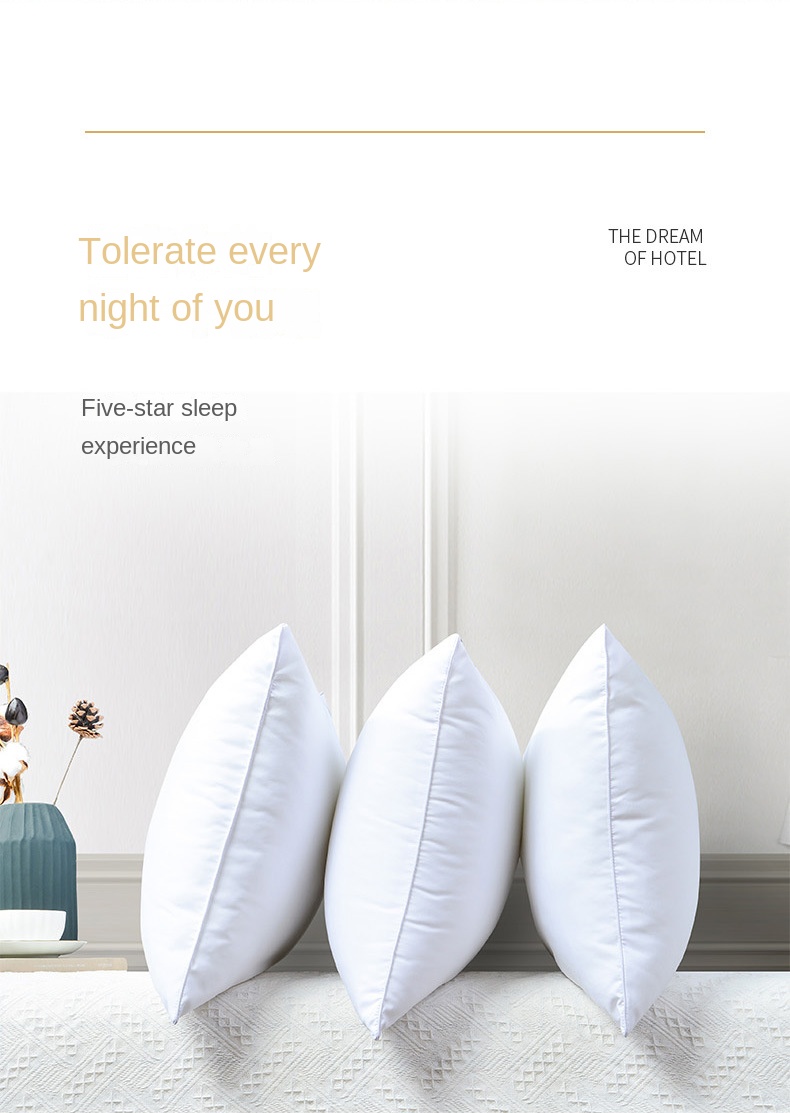 KHÁCH SẠN Bộ Sưu Tập Giường Gố - đánh giá và giá Anti Snore Contour Pillow